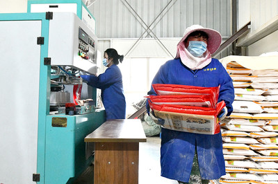 推動(dòng)產(chǎn)業(yè)融合發(fā)展，助力糧食增產(chǎn)增收——糧食加工產(chǎn)業(yè)的戰(zhàn)略路徑