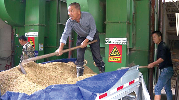 微網格長出手，破解“曬糧難”助力糧食加工
