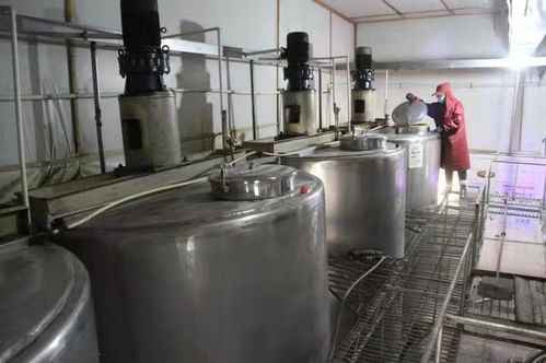 山西陽城 深耕糧食加工鏈條，賦能鄉村產業振興